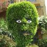 Bush Le George