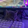 Люблю Даню <3