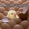 prazerLAZY-