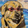 DogWithShades