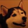 Gternity
