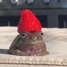 Frogs