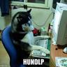 HundLP