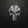 The Punisher®