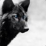 Black Wolf