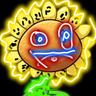 HSV_Sunflower