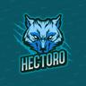 hectoro100
