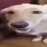 Smørhund