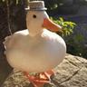 DuckLee
