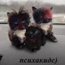 Реквием по Чечне