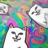 pørtmap