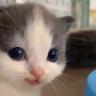 bubyy-