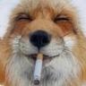 FoxTheLegend7