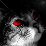 ☆☬Kitten☬☆