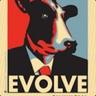Obama Cow