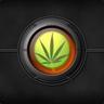 Serial☺ҜilleR