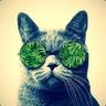 FreeaK