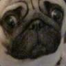 PUGLAW