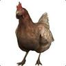Chicken Farmer