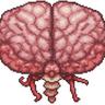 brainy