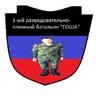 ГошаСВО