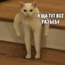 ВОДИТЕЛЬ ПО ГУБАМ
