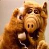 Drewbear