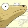 SANTA CAPIVARA
