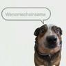 Wenomechainsama