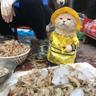 Cat named Dog