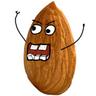 CrazySeed