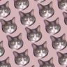 Bullet Cat