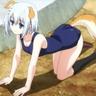 The Dog