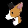 Corgo