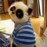 pandaparties