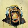 MonkeyPilot72