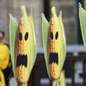 DangeR CorN