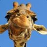 G1RAFFE1928