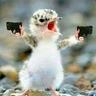 ♕PewPew♕