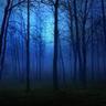 BLUE FOREST 水 MaTTox