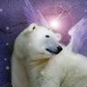 TheUNIBEAR