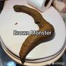 BROWN MONSTER